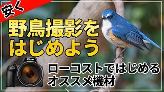 【安く野鳥撮影しよう!】野鳥初心者にオススメのカメラ Nikon COOLPIX P1000 が凄い！ニコン【バードウォッチング】