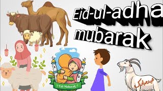 Eid ul adha Mubarak || Qurbani ka Pehla din  || Qurbani || BBQ Party || family gathering || HHH Gang