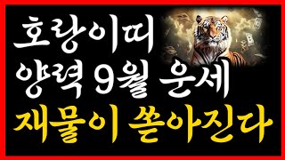 [2024년 9월 호랑이띠 운세] 횡재운이 들어옵니다! (종합운/재물운/애정운/직업운/건강운/학업운/여행운) #9월운세 #월별운세 #운세