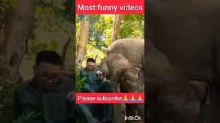 most funny🤣😝😜 videos|🙏🙏 subscribe my  youtube channel🙏🙏🙏  I NEED YOUR SUBSCRIBE SUPPORT#shorts