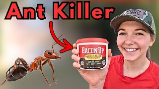 ANTS EVERYWHERE-Simple Hack Kills Them All!