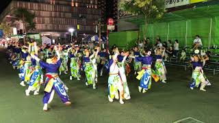 神石踊娘隊 きらきら星 全国大会 追手筋南会場1 2019