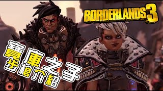 Borderlands 3 邊緣禁地3 COV寶庫之子橙色步槍介紹