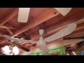 canarm cp56 industrial ceiling fan 1080p hd remake