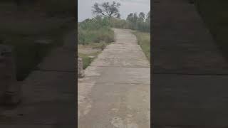 dangerous place#sakmal pulli#shakargarh #border