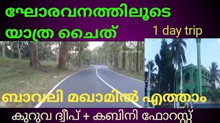 ബാവലി മഖാമിൽ എത്താം കൊടുംകാടിൻ്റെ ഭംഗിആസ്വദിച്ച് കിലോമീറ്ററുകൾഉൾവന്നത്തിലൂടെ യാത്ര|Safar rut|Ziyarat