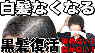 【白髪改善】白髪は治せるの!?白髪の原因と対策！！黒髪にする方法！【美容室メロウ】