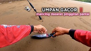 KALIAN WAJIB COBA ‼️ RAHASIA UMPAN GACOR MANCING DASARAN DI PINGGIR PANTAI