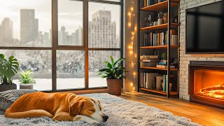 Music for Dogs Relaxation 🐶 Improve your puppy's sleep environment to reduce separation anxiety