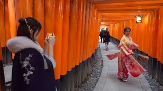 Japan, Day 9.4, Kyoto - Walking around Mount Fushimi Inari Taisha 伏見稲荷大社, Torii Gates [4K, Zhiyun]