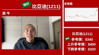 【星級輪證】比亞迪創歷史高 資金再推高