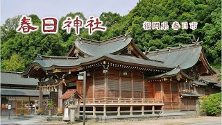 228 春日神社 : 福岡県春日市