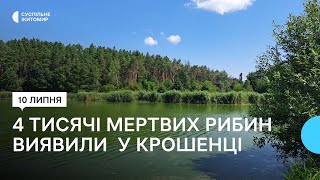 У Житомирі в річці Крошенка виявили понад чотири тисячі мертвих рибин: що сталося