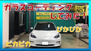 【テスラ モデル3】ガラスコーティングしてみた！