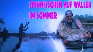 Spinnfischen auf WALLER im SOMMER | So fängst du jetzt aktiv deinen Waller