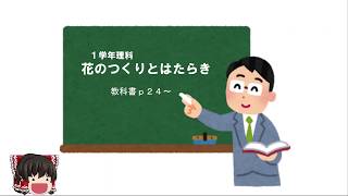 【中学１年・理科】短時間で学ぶ「花のつくりとはたらき」