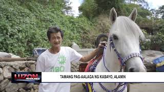 Tamang pag-aalaga ng kabayo, alamin