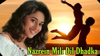 Nazrein Mili Dil Dhadka Dhadkan Ne Kaha | Remix | A2_99 Songs | | Madhuri Dixit | Sanjay Kapoor |