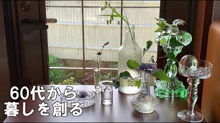 梅雨の日の外と家の中のお宝探し｜夏草の悩みと癒し｜レモンと夏みかんの保存食