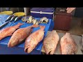 wholesale fish market margao goa sgpda market seafood market fatorda madgaon goa