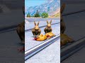 Rabbit Helps His Chicken | GTA V | #shorts #4🥺