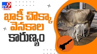 ఖాకీ చొక్కా వెనకాల కారుణ్యం - TV9