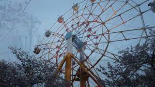 神戸王子動物園　桜の通り抜け