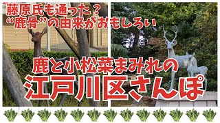 【篠崎駅から】鹿まみれの\