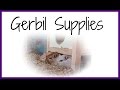 Gerbil Supplies & What You Need Gerbil Supplies & What You Need