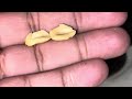 me buy peanuts after market review vlog