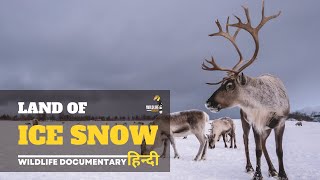 Land of ice and snow - Wildest Europe । Full Documentary in Hindi