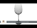 school of fish large wine glass 19oz set 4 by rolf glass review test