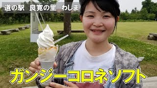 米粉を使ったコロネソフトクリームが絶品すぎる！【道の駅 良寛の里 わしま】