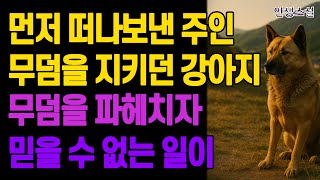 먼저 떠나보낸 주인 무덤을 지키던 강아지.. 무덤을 파헤치자 믿을 수 없는 일이 벌어지는데