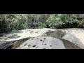 hd relaxing natural scene 15sec nature sounds wide video