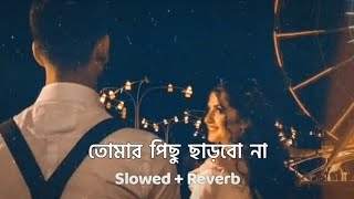 Tomar Pichu Charbo Na || Slowed And Reverb || Nahid Hasan || BENGALI LOFI ( 720 X 1280 60fps ) 🌸🌼💠🏵️