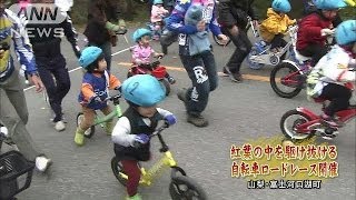 紅葉のなかを駆け抜ける　自転車ロードレース　山梨(13/11/10)