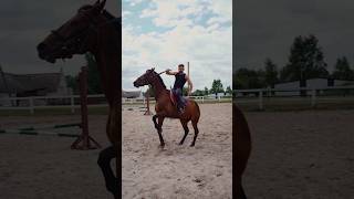 💯😱High Speed Black Horse Riding 😱🐎