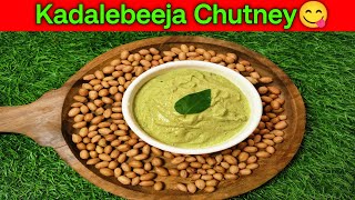 ಕಡಲೆ ಬೀಜ | ಶೇಂಗಾ ಚಟ್ನಿ | Peanut Chutney in Kannada | Kadalebeeja Chutney Recipe in Kannada