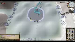 Vorkath’s head drop in RuneWild worth 950m-1b!