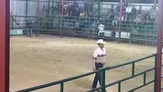 JUAN ALEGRIA ESTELI