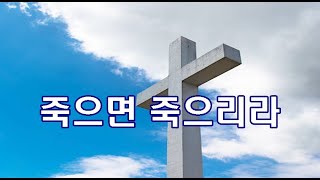 내가 선한 싸움을 싸우고[5곡]박수영로뎀나무ccm broom tree