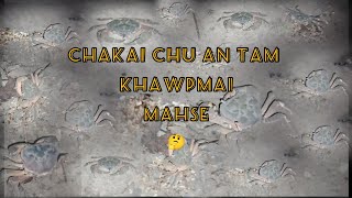 He Luiah Hian Chakai Ka Chhit Lehtawh Ngailo Ang.🦀 | ENGVANGIN MAW?.