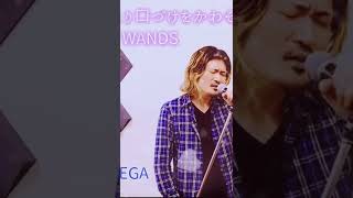 EGA 愛を語るより口づけをかわそう WANDS Cover #wands #上杉昇 #愛を語るより口づけをかわそう #being #coversong #rock