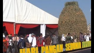 Indonesia Optimalisasi Pemanfaatan Rawa untuk Pertanian