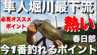 【埼玉バス釣りポイント】激熱！隼人堀川下流でモンスターを狙え！【スモールマウスバス】