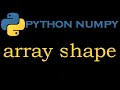 Python Numpy Module 8 # Array shape