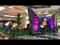 Butterfly Garden in Sahara Centre, Sharjah 🇦🇪