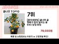 가장 많이 팔린 귤나무 추천 top10