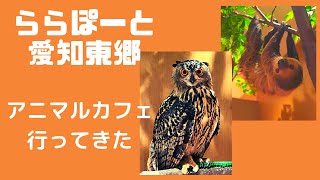 ららぽーと愛知東郷😀　アニマルカフェ行ってきた😀　Moff animal cafe  😀